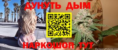 сатива Наро-Фоминск