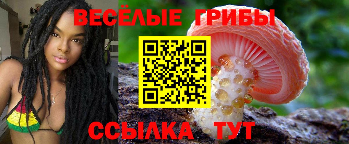Псилоцибиновые грибы мицелий  Галлюциногенные грибы ЛСД  Вход с VPN  Верхняя Пышма 